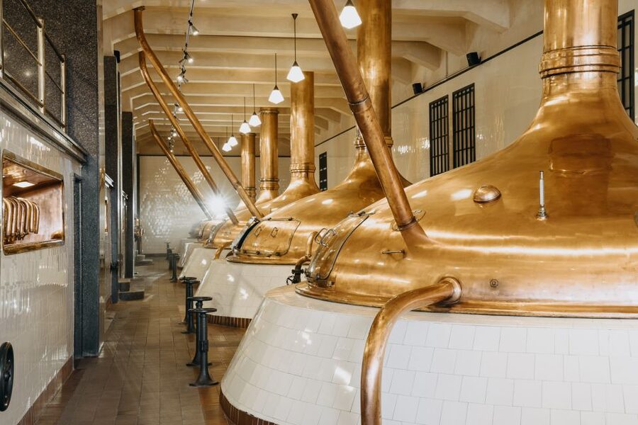 Pilsen: Pilsner Urquell Brewery Tour with Beer Tasting - What the $21 price delivers