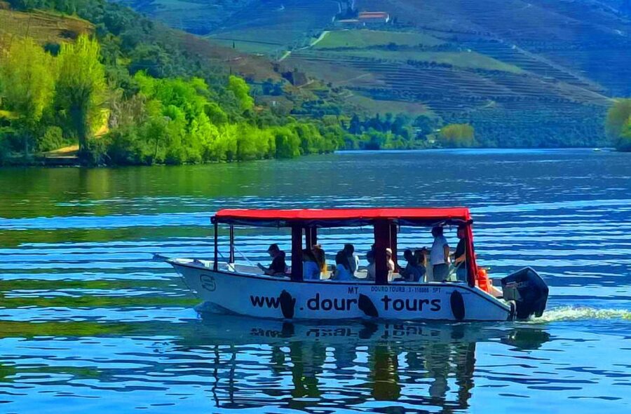 Pinhão: Douro River 50-min Boat Trip with Port Wine - Ponte do Pinhão: starting with the town’s river view