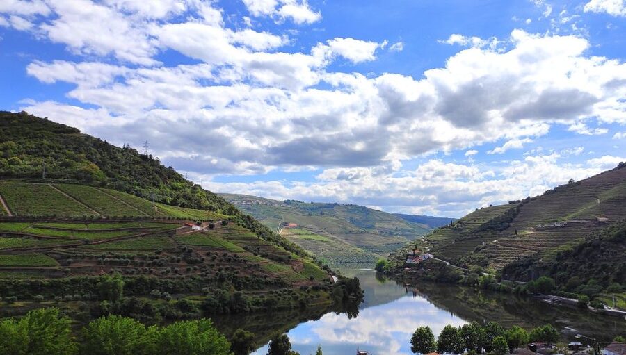 Pinhão: Douro River 50-min Boat Trip with Port Wine - What you really get for $17