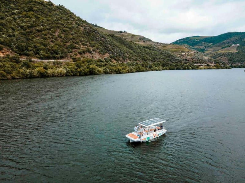 Pinhão: Douro River Solar Boat Tour with Wine Tasting - Who will enjoy this Pinhão outing most