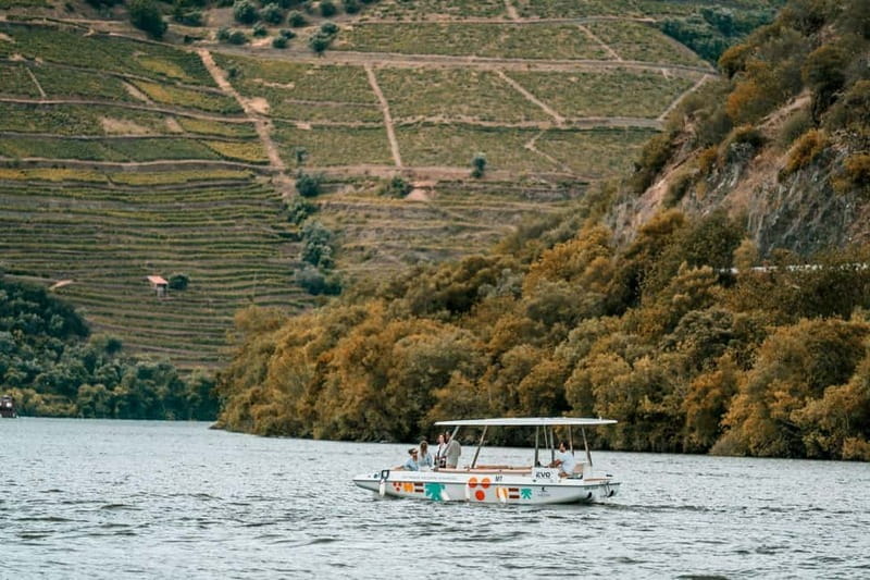 Pinhão: Douro River Solar Boat Tour with Wine Tasting - Practical tips for a smoother hour