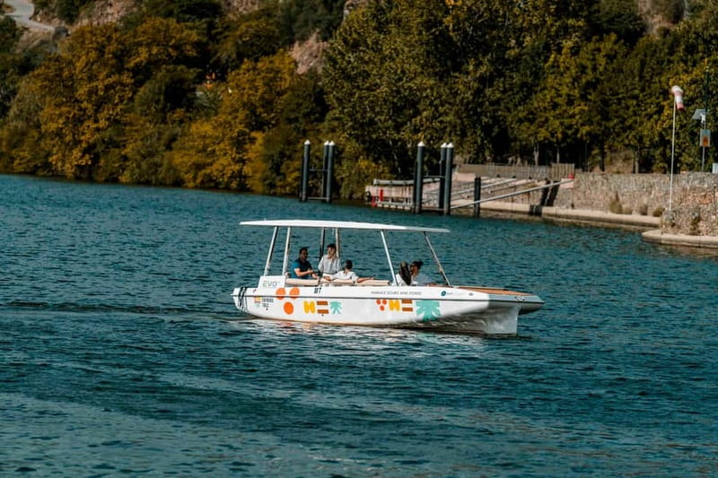 Pinhão: Douro River Solar Boat Tour with Wine Tasting - Two local wines with the valley as your table