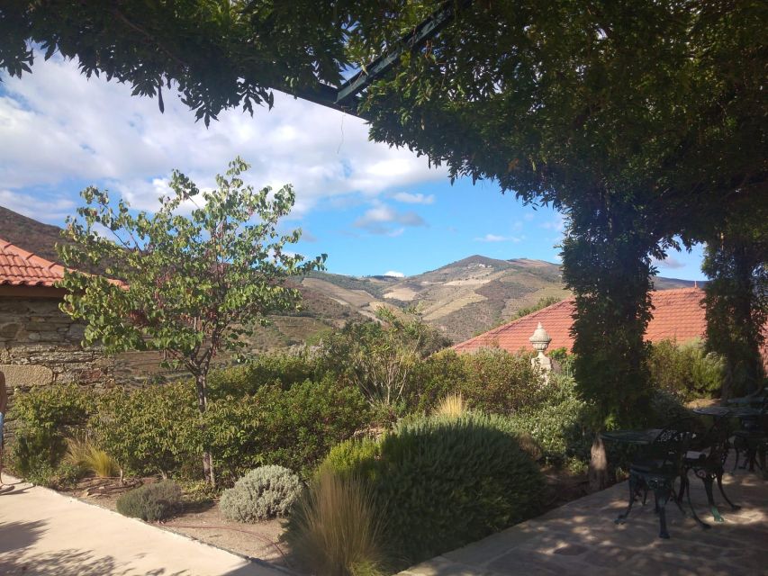 Pinhão: Douro Valley with Wine Tasting, Boat Trip and Lunch - Second winery: more Port and another three wines