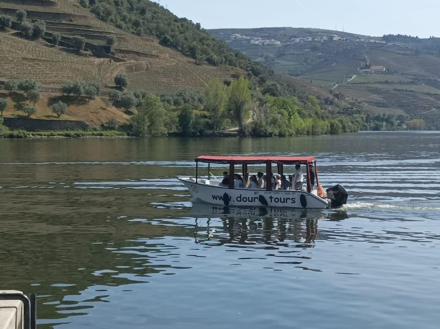 Pinhão: Douro Valley with Wine Tasting, Boat Trip and Lunch - The final viewpoint over the valley