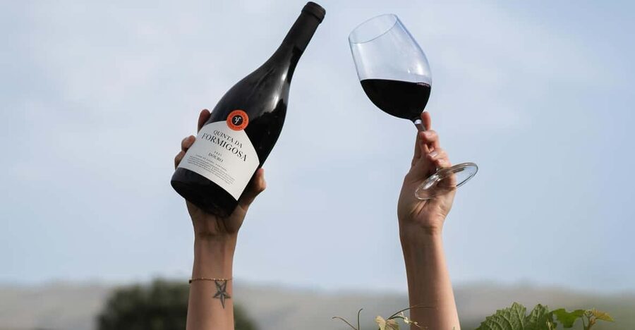 Pinhão: Quinta da Formigosa Vineyard Tour and Wine Tasting - Key points to know before you book