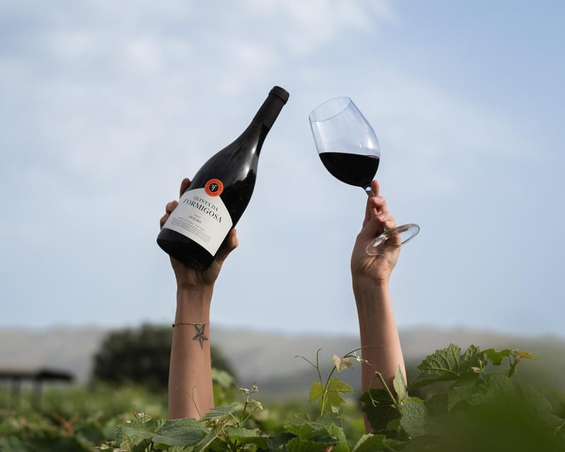 Pinhão: Quinta da Formigosa Vineyard Tour and Wine Tasting - Why this small Douro estate is worth your time