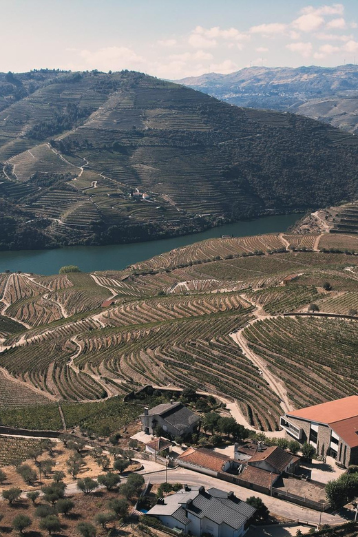 Pinhão: Quinta da Formigosa Vineyard Tour and Wine Tasting - Three wines in the Douro River tasting room