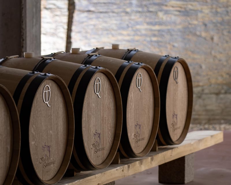 Pinhão: Quinta da Formigosa Vineyard Tour and Wine Tasting - What the $35 price buys you