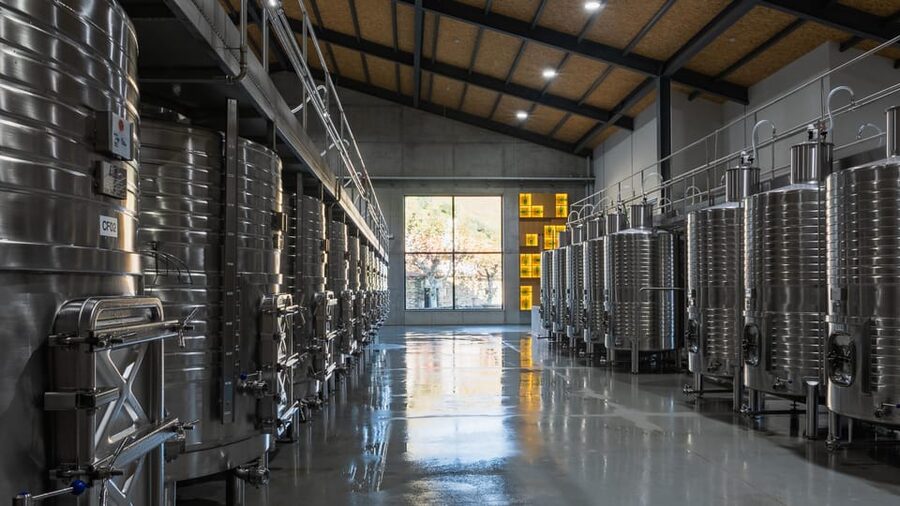 Pinhão: Quinta da Formigosa Vineyard Tour and Wine Tasting - Should you book this Douro wine tour?