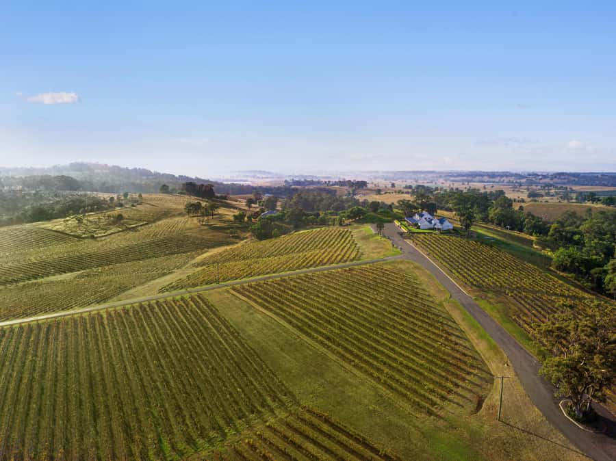 Pokolbin: Picnic & Wine Tasting at Audrey Wilkinson Vineyard - Key points at a glance