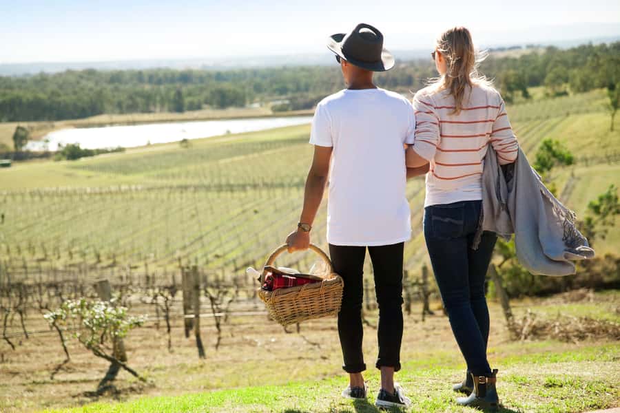 Pokolbin: Picnic & Wine Tasting at Audrey Wilkinson Vineyard - A small-group wine master class, not a rushed tasting