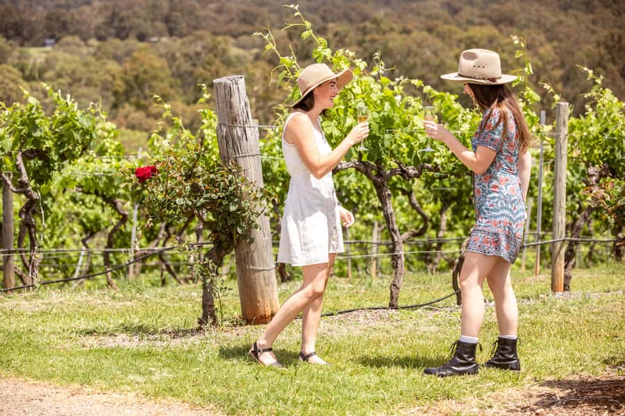 Pokolbin: Picnic & Wine Tasting at Audrey Wilkinson Vineyard - Who will enjoy this most?