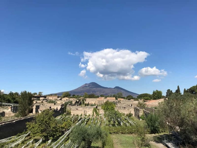 Pompeii: Archeological Tour & Wine Tasting at Mt. Vesuvius - Should you book it?
