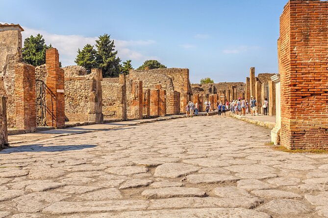 Pompeii Ticket + Tour with Optional Tasting Experience at Pompeii - The optional wine and food tasting