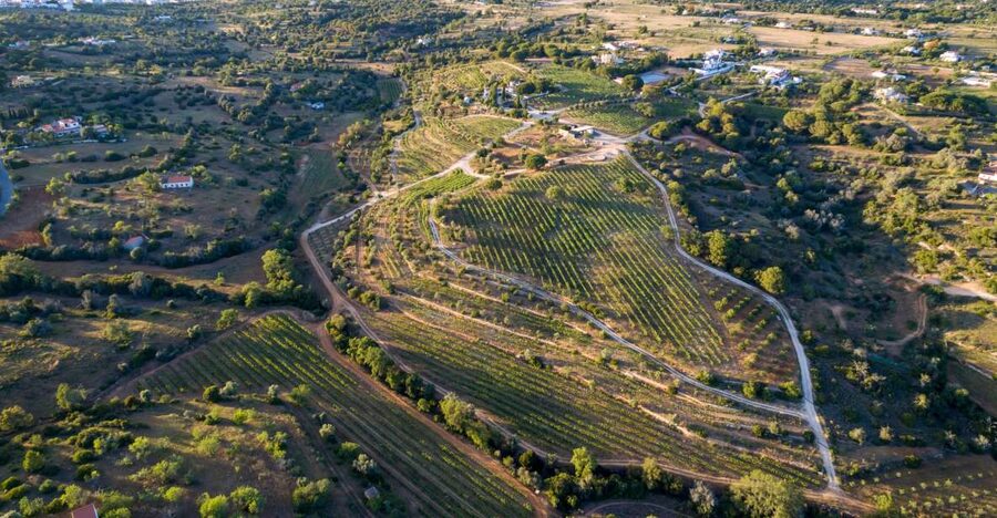 Porches: Algarve Vineyard Tour and Wine Tasting Experience - Quinta dos Capinhas at a glance