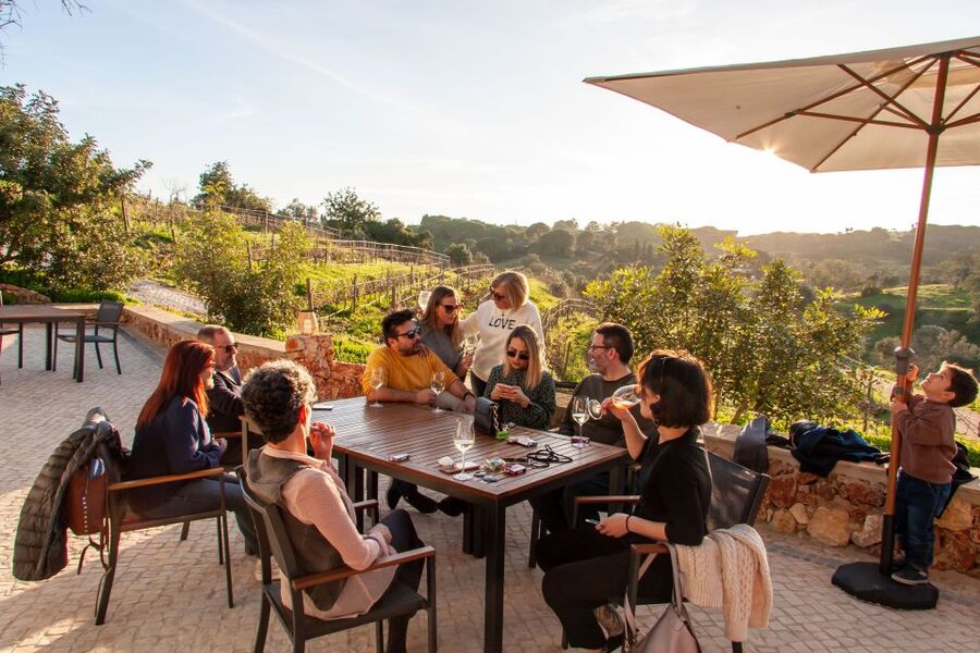 Porches: Algarve Vineyard Tour and Wine Tasting Experience - A family vineyard between the ocean and mountains