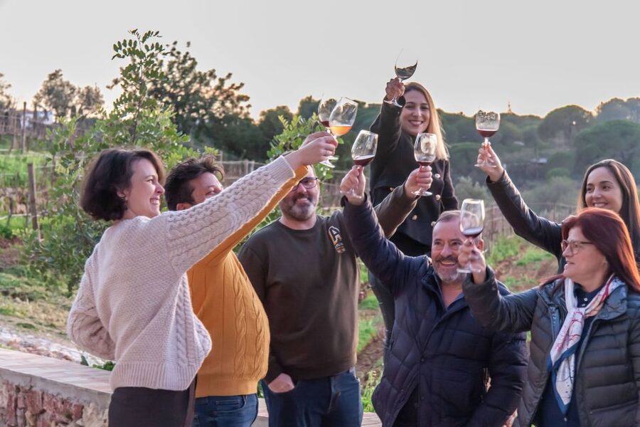 Porches: Algarve Vineyard Tour and Wine Tasting Experience - Four wines and a table of Algarve tapas