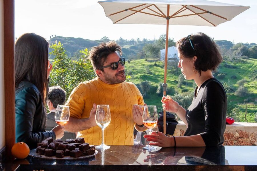 Porches: Algarve Vineyard Tour and Wine Tasting Experience - How much time does 1.5 hours give you?