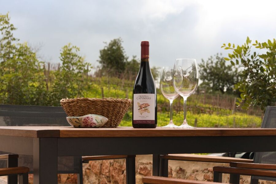 Porches: Algarve Vineyard Tour and Wine Tasting Experience - What the $91 price represents