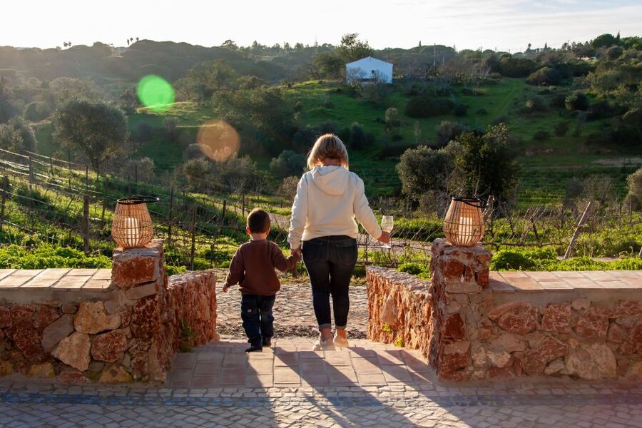 Porches: Algarve Vineyard Tour and Wine Tasting Experience - Who will enjoy this visit most?