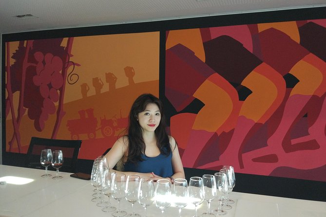 Port Wine Lodges Tour Including 7 Port Wine Tastings (English) - Why this Port tour works well for first-time visitors