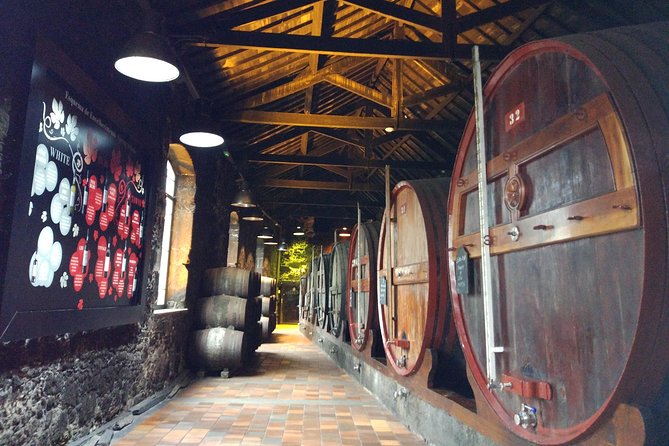 Port Wine Lodges Tour Including 7 Port Wine Tastings (English) - The guides make a real difference