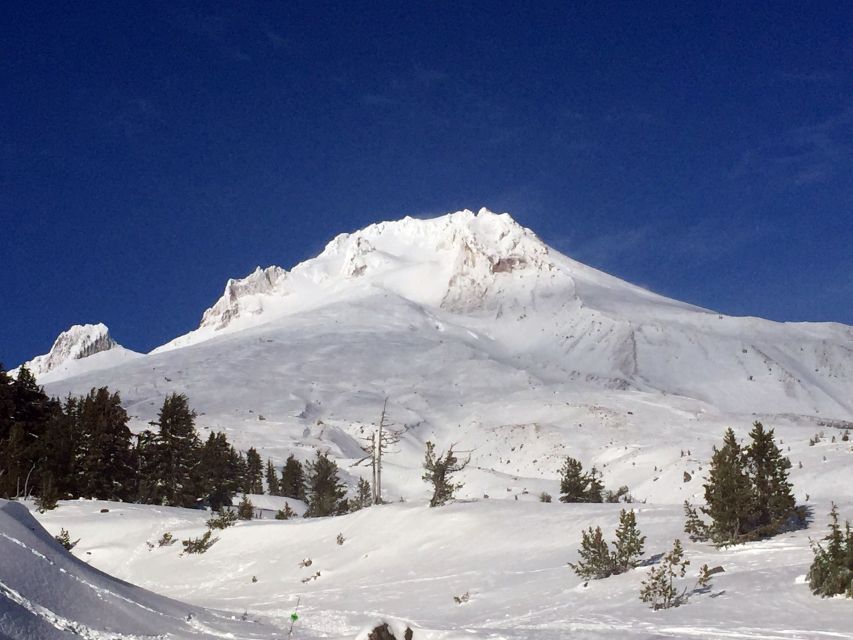 Portland: Mount Hood Wine and Waterfalls Full-Day Tour - Key points to know before booking