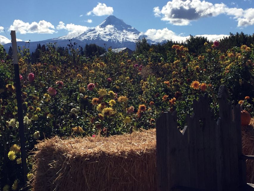 Portland: Mount Hood Wine and Waterfalls Full-Day Tour - Is $179 a fair price?