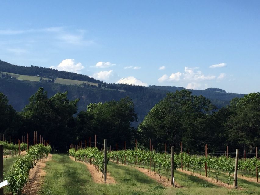 Portland: Mount Hood Wine and Waterfalls Full-Day Tour - Wine and lunch in the Hood River Valley