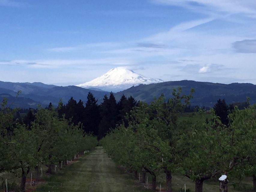 Portland: Mount Hood Wine and Waterfalls Full-Day Tour - Thirty minutes at Multnomah Falls