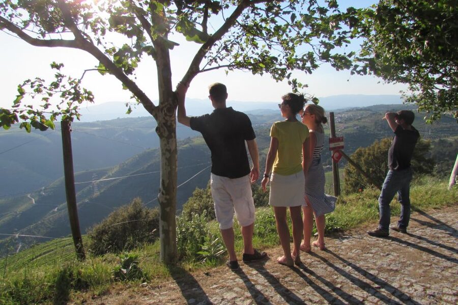 Porto: 3 Douro Valley Vineyards Tour with Lunch - Key points to know before booking