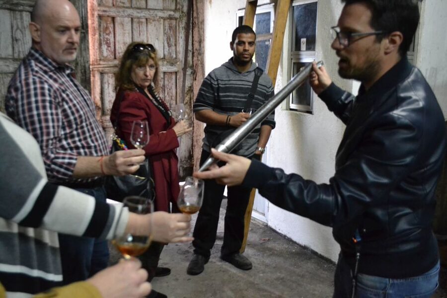 Porto: 3 Douro Valley Vineyards Tour with Lunch - Practical details for a smoother day
