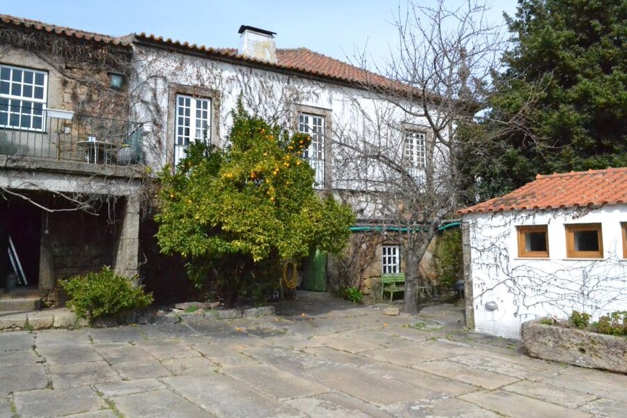 Porto: 3 Douro Valley Vineyards Tour with Lunch - Why this Douro Valley day trip works