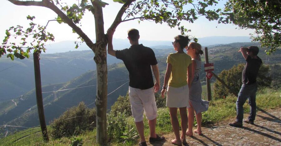 Porto: 3 Douro Valley Vineyards Tour with Lunch - First vineyard: a personal introduction to Douro wine