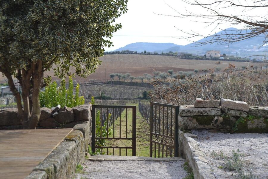 Porto: 3 Douro Valley Vineyards Tour with Lunch - The second vineyard and the day’s main meal