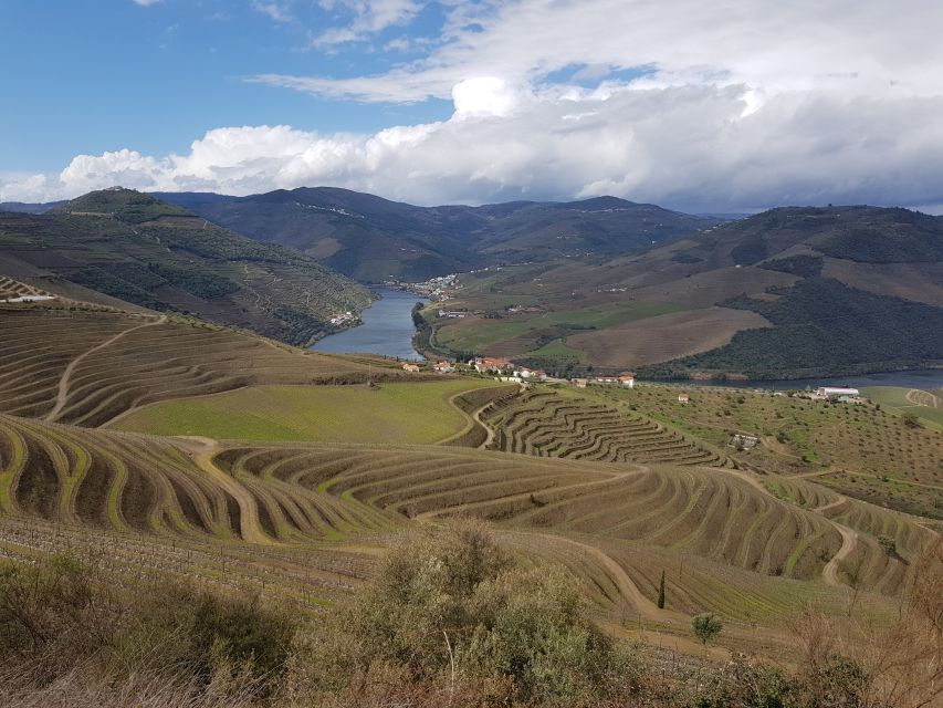 Porto: 3 Douro Valley Vineyards Tour with Lunch - What $129 gets you