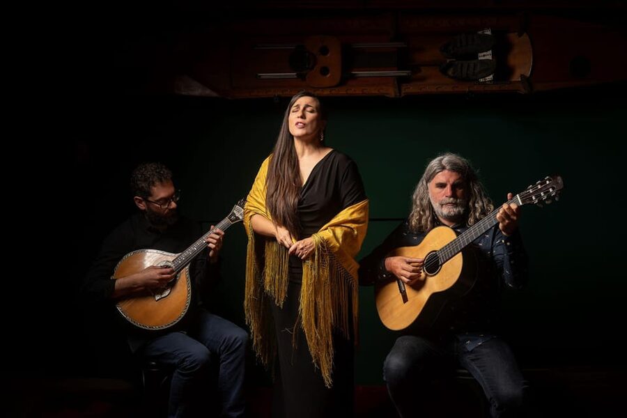 Porto: Authentic Fado Concert With Port Wine & Views - The Port wine welcome