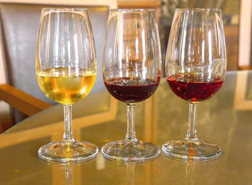 Porto: City Tour, 6 Bridges Cruise and Wine Tasting - Guides, group pace, and comfort