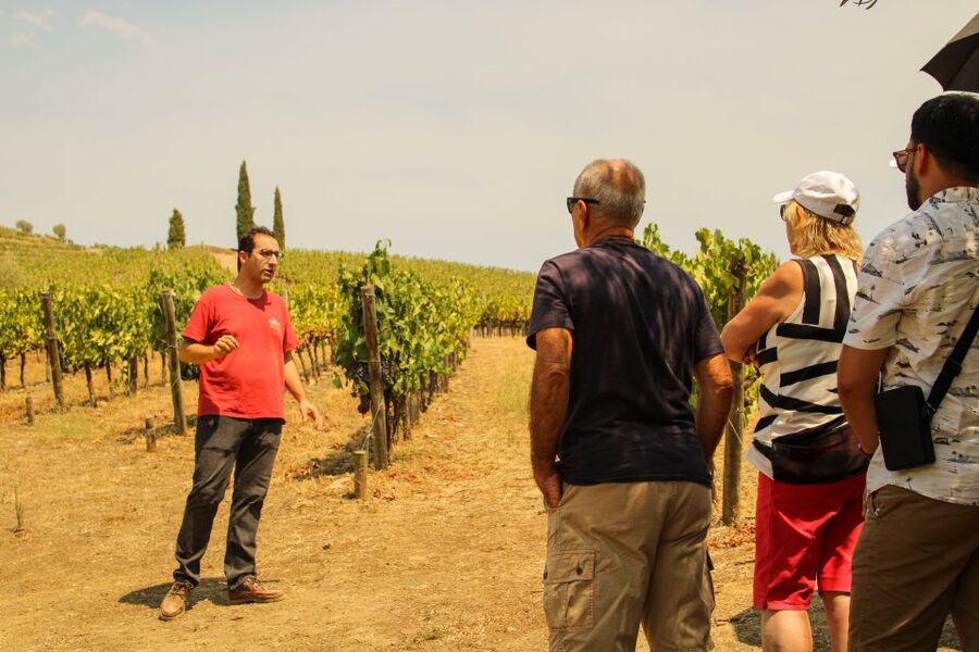 Porto: Douro Valley History & Wine Tour with Cruise & Lunch - Amarante: a pleasant first taste of northern Portugal