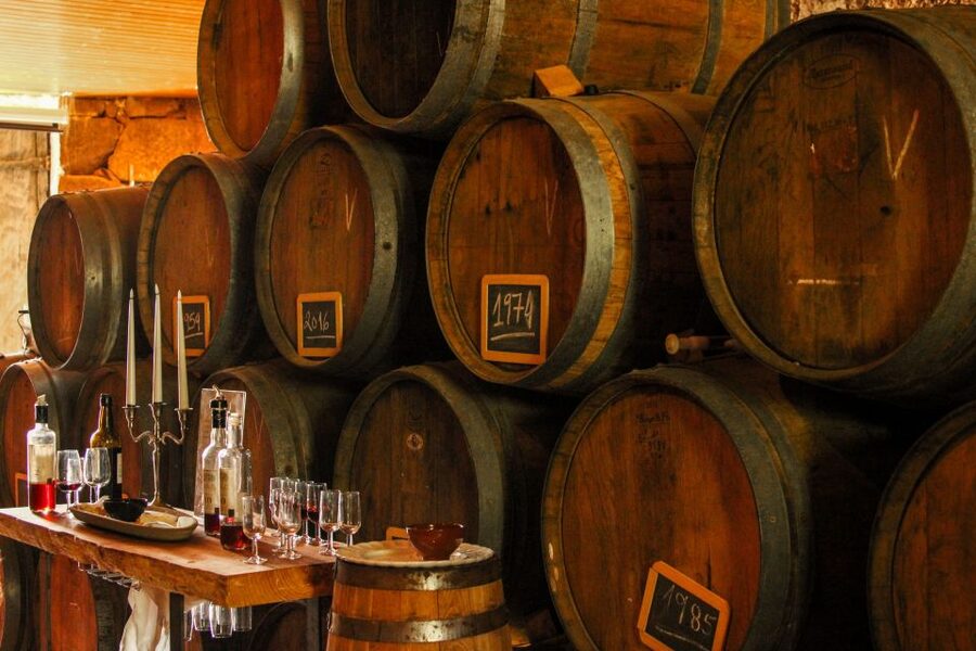 Porto: Douro Valley History & Wine Tour with Cruise & Lunch - The road time, driver, and pace