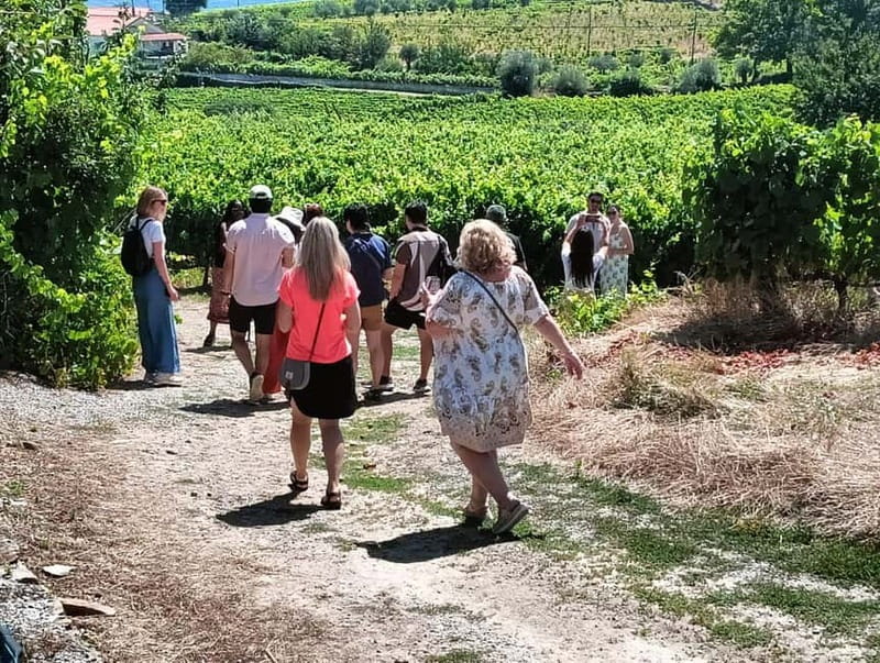 Porto: Douro Valley Tour at 2 Wineries with Lunch and Cruise - Key points to know before booking