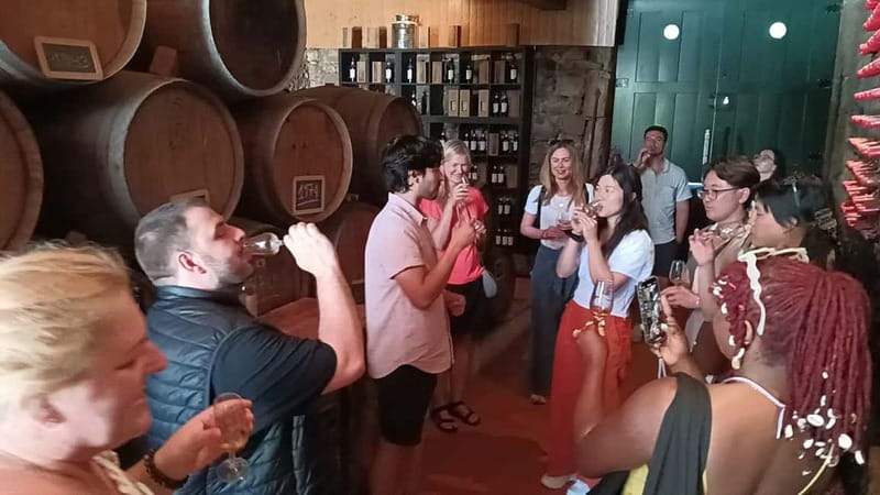 Porto: Douro Valley Tour at 2 Wineries with Lunch and Cruise - The return to Porto and the value of nine hours
