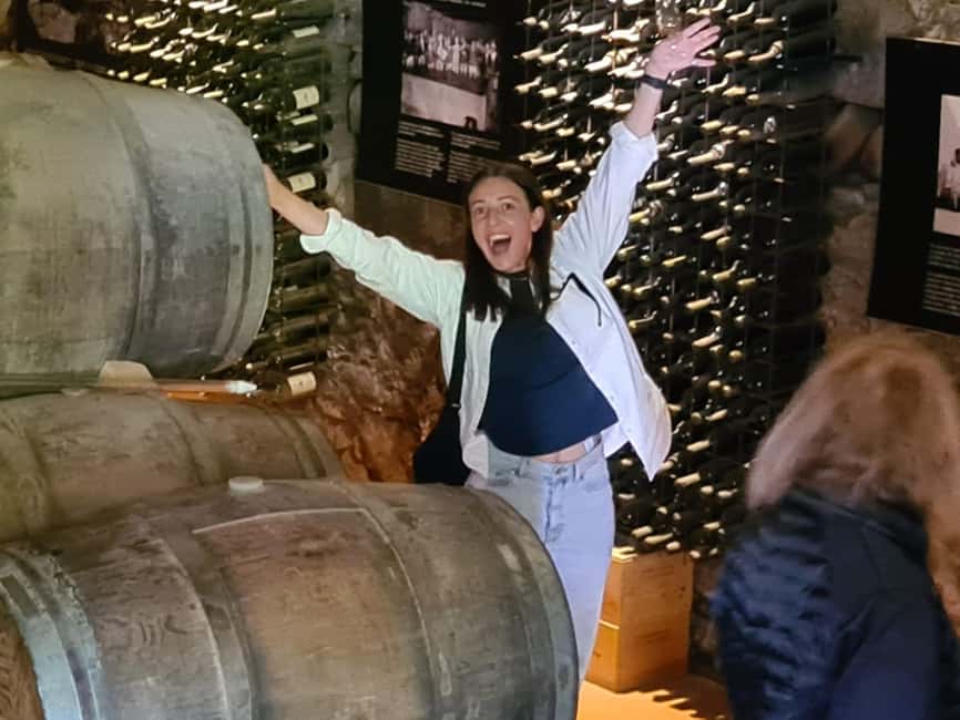 Porto: Douro Valley Tour at 2 Wineries with Lunch and Cruise - Who should book this Douro Valley experience?