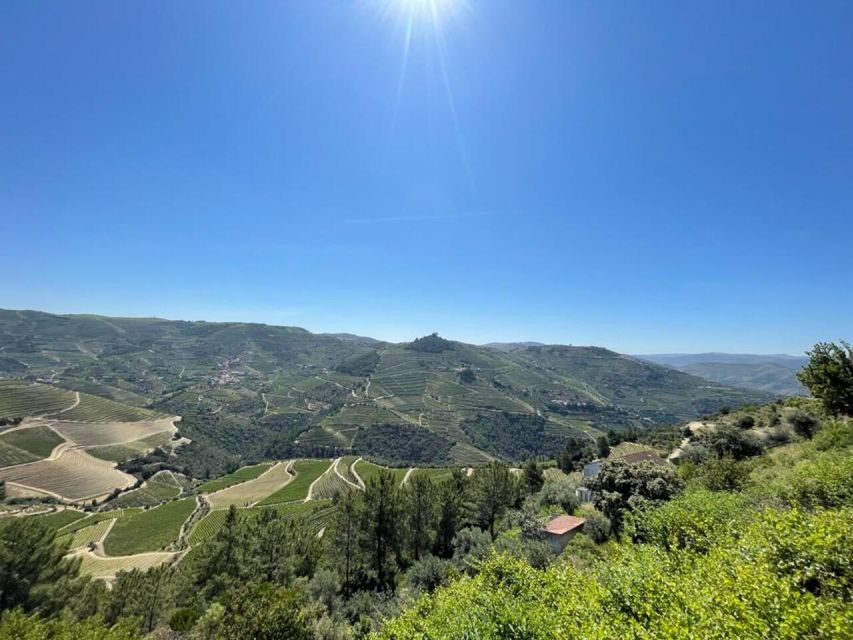 Porto: Douro Valley Tour with 2 Wineries, Lunch and Cruise - Why this Douro Valley day works from Porto
