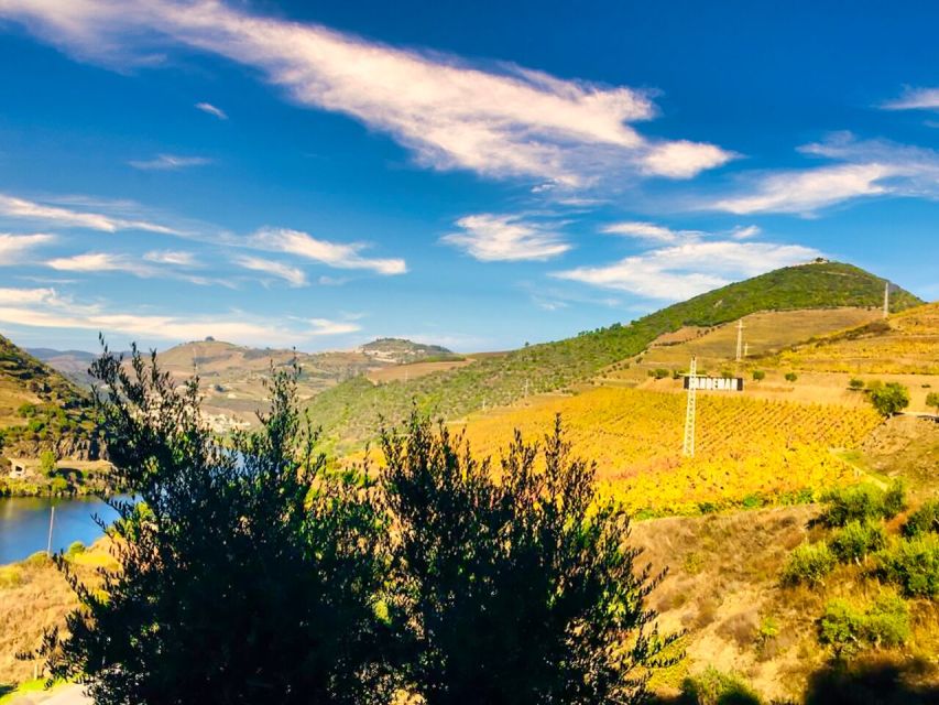Porto: Douro Valley Tour with 2 Wineries, Lunch and Cruise - Should you book the Douro Valley tour?