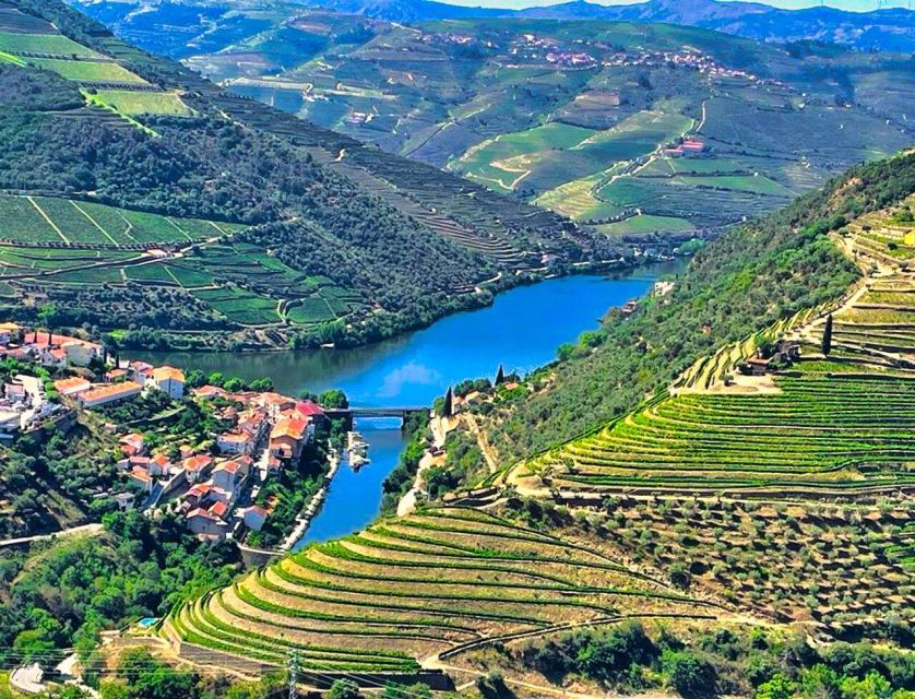 Porto: Douro Valley Tour with 2 Wineries, Lunch and Cruise - The guides make or break a road-based day