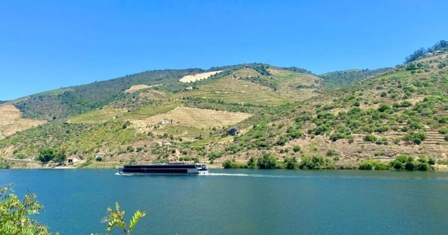 Porto: Douro Valley Tour with 2 Wineries, Lunch and Cruise - Is $117 good value?