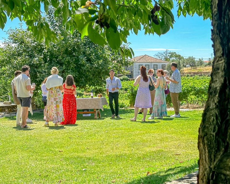 Porto: Douro Valley Tour with 2 Wineries, Lunch and Cruise - Pinhão and the one-hour Douro cruise