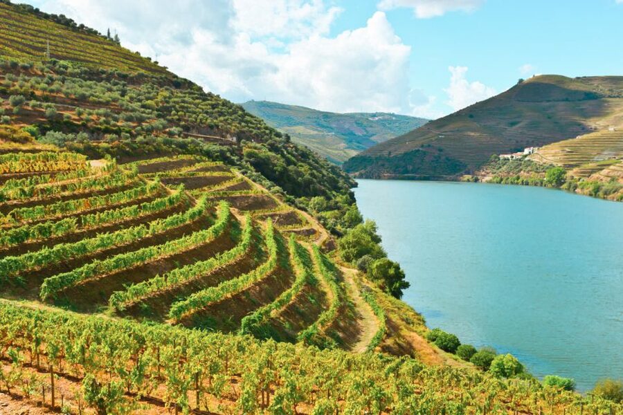 Porto: Douro Valley Tour with Wine Tasting, Cruise and Lunch - What to bring and how to prepare
