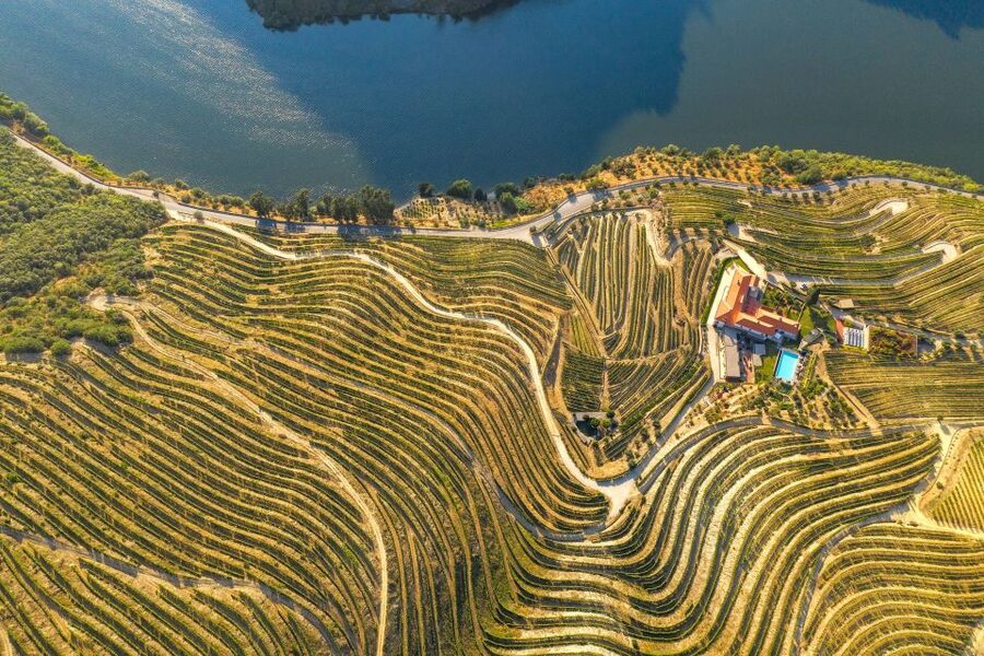 Porto: Douro Valley Tour with Wine Tasting, Cruise and Lunch - Pinhão and one quiet hour on the Douro